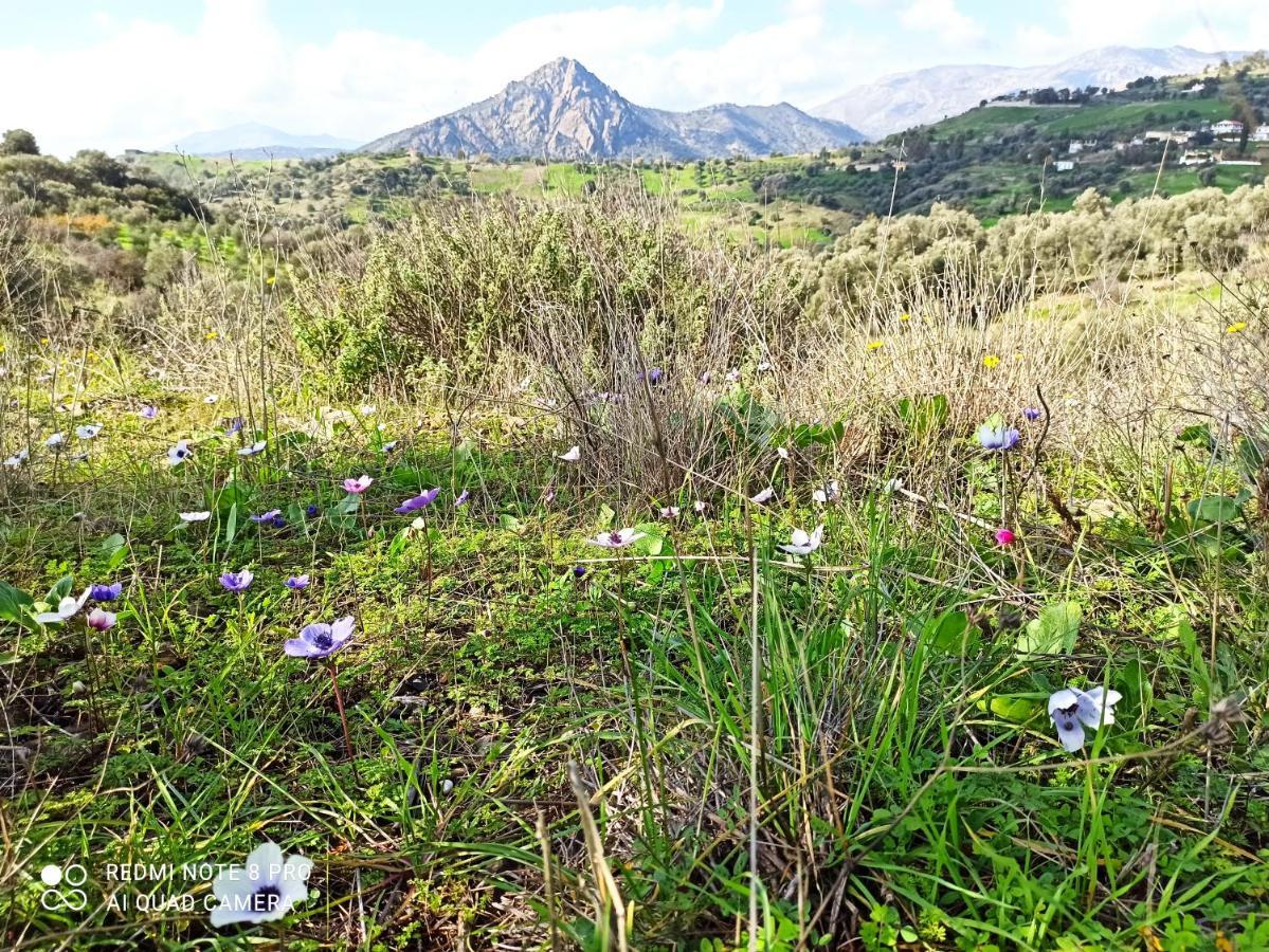 Il Silenzio Villa Magarikari Luaran gambar